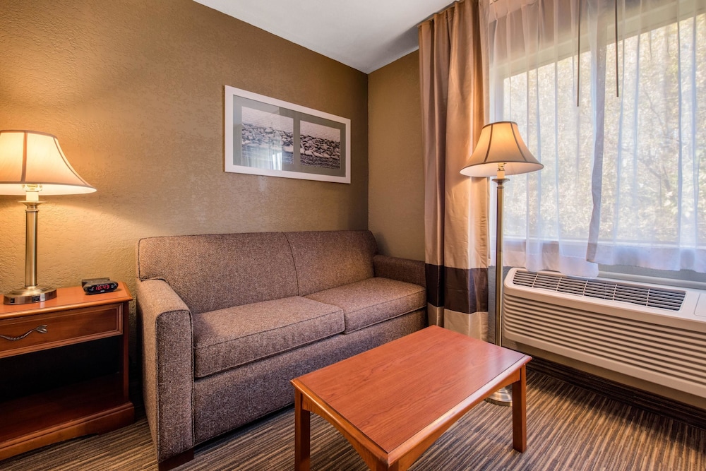 Suite, 1 King Bed with Sofa bed, Non Smoking - Photo 6