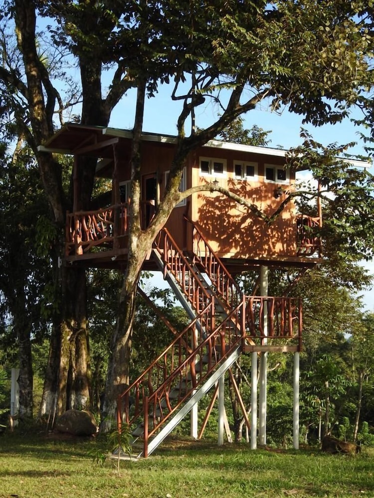 Honeymoon Tree House, 1 Bedroom, Hot Tub, Mountain View photo 2