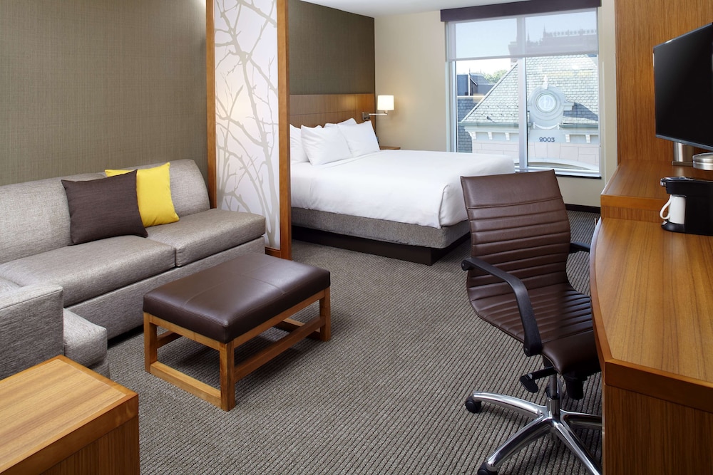 Room, 1 King Bed with Sofa bed, Accessible (Shower)