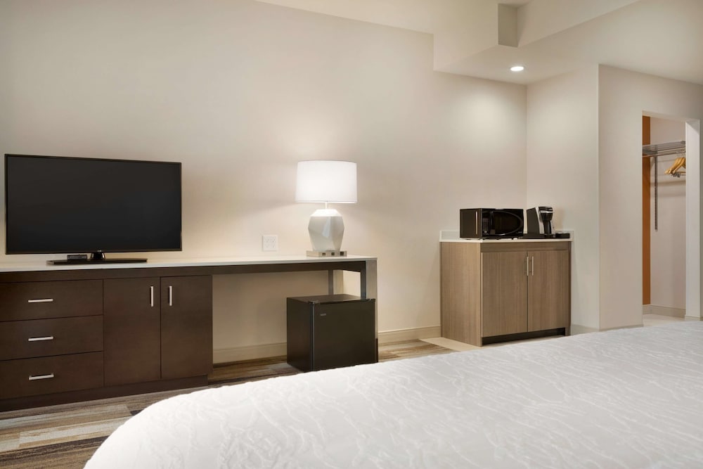 Room, 1 King Bed, Accessible (Mobility & Hearing, Roll-in Shower) photo 3