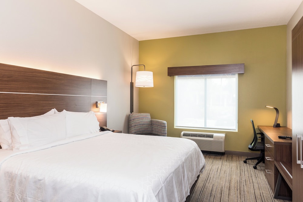 Room, 1 King Bed, Accessible (Comm, Roll Shwr) - Photo 4