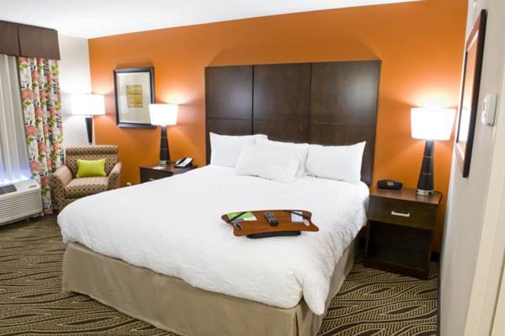 Room, 1 King Bed photo 2