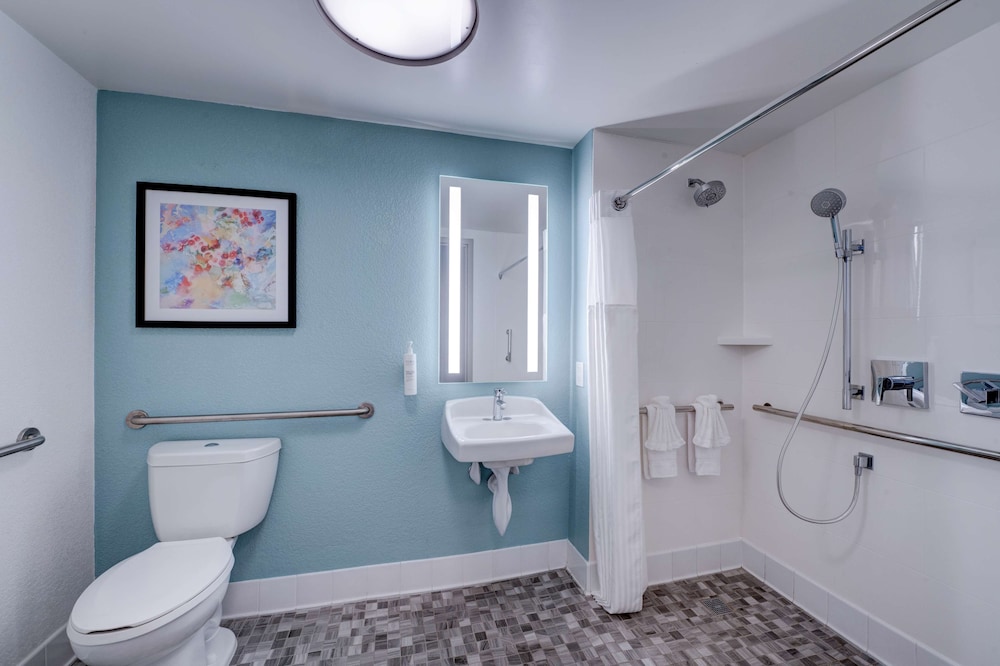 Room, 1 King Bed, Accessible (Roll-In Shower) - Photo 3