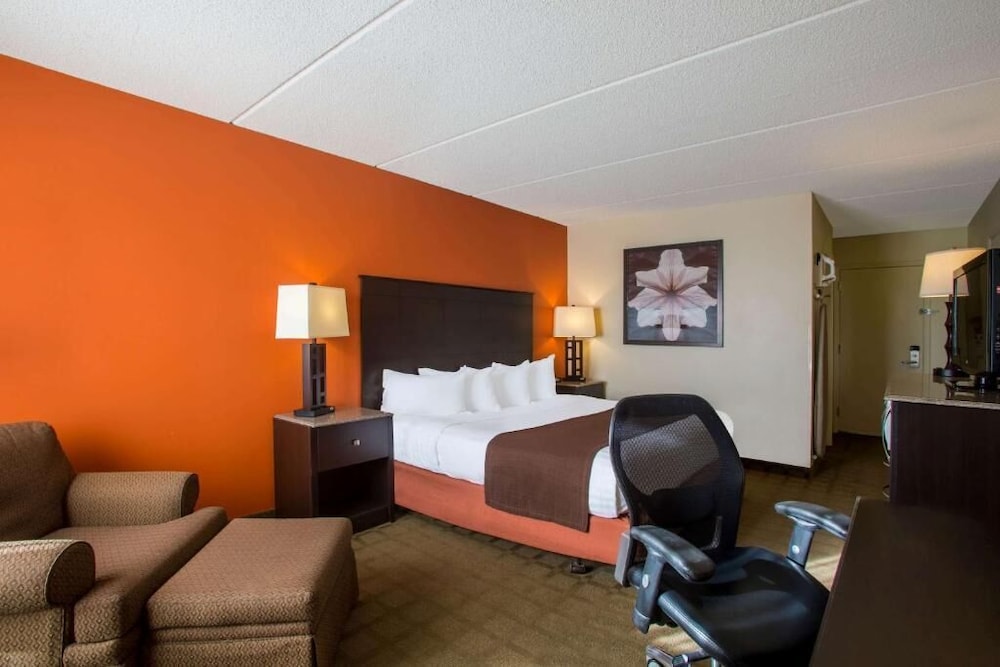 Business Single Room photo 1