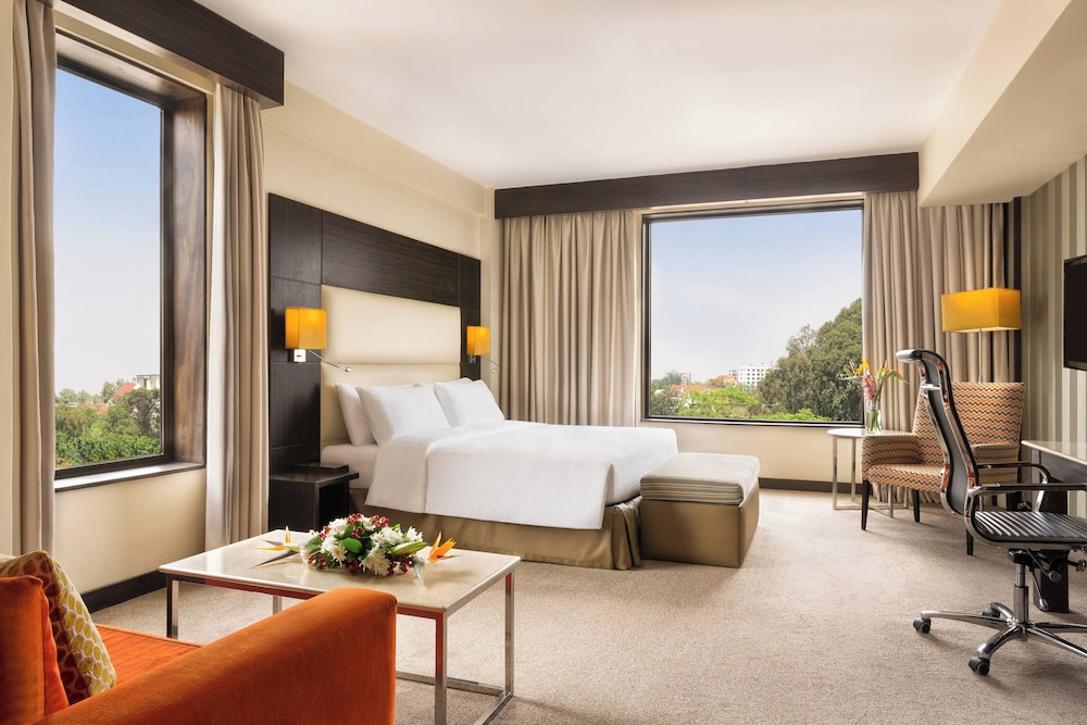 Executive Suite, 1 King Bed