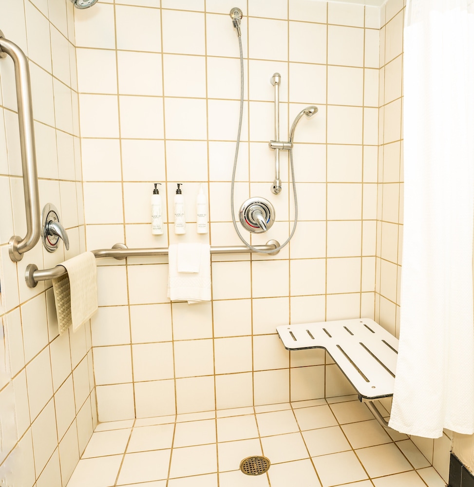 Room, 1 King Bed (Mobility/Hearing Accessible, Tub) - Photo 3