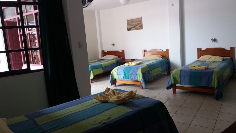 Twin Room photo 2