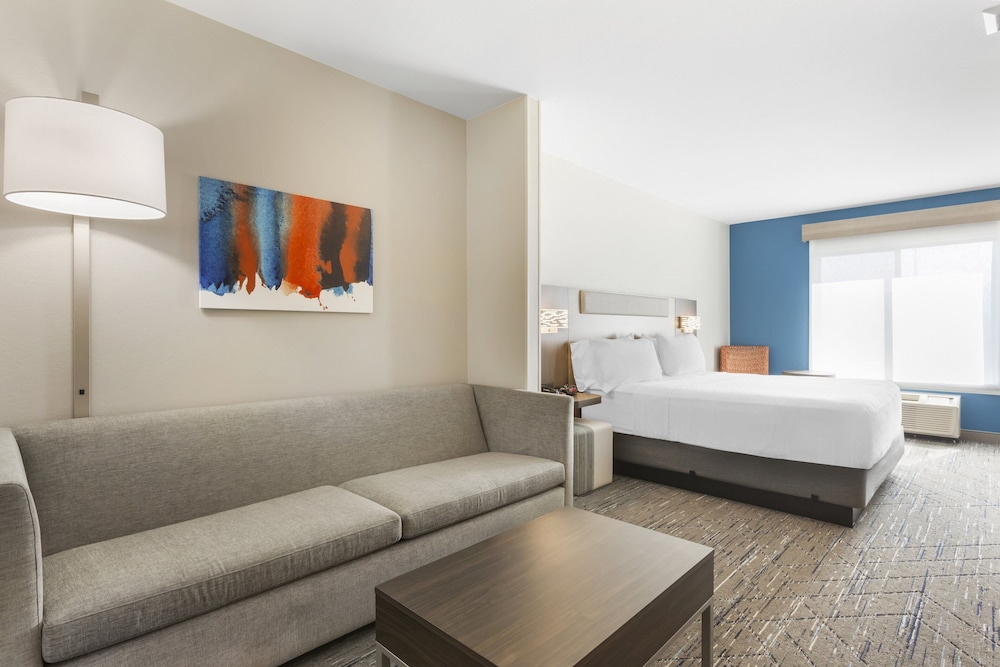 Suite, 1 King Bed with Sofa bed photo 1