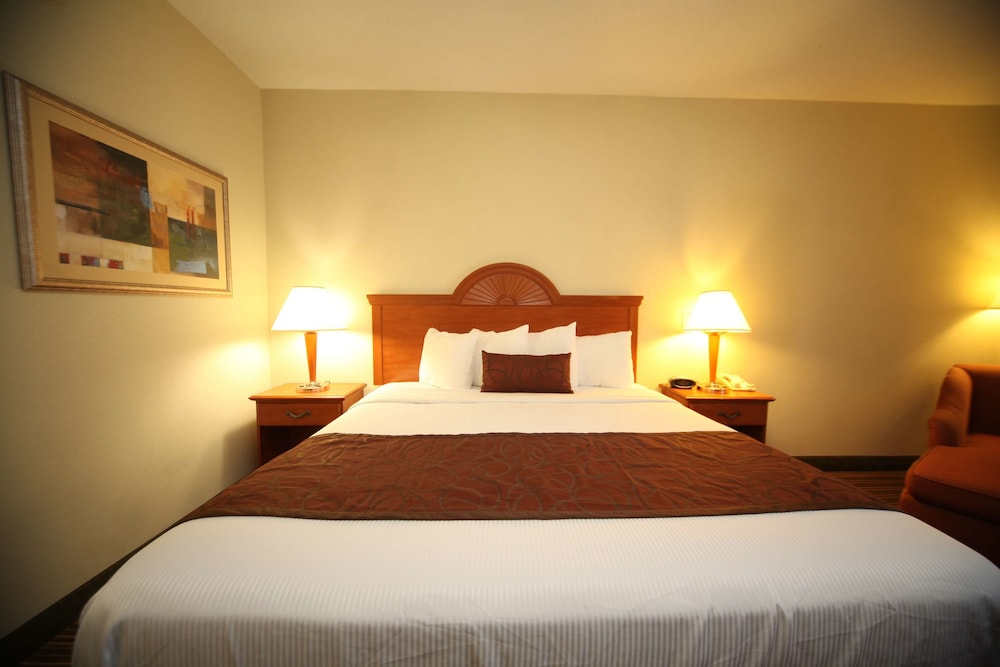 Standard Room, 1 Queen Bed, Accessible, Non Smoking - Photo 4