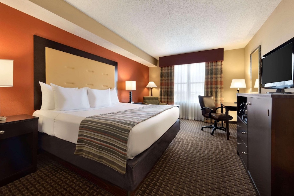 Suite, 1 Bedroom, Non Smoking