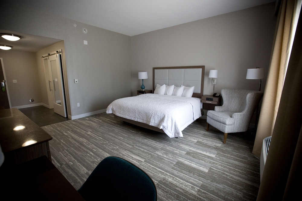 Room, 1 King Bed, Accessible, Non Smoking (Roll In Shower) photo 3