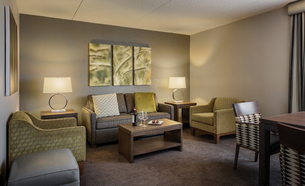 Suite, 1 Bedroom, City View (1 King Bed, Living/Dining Area)