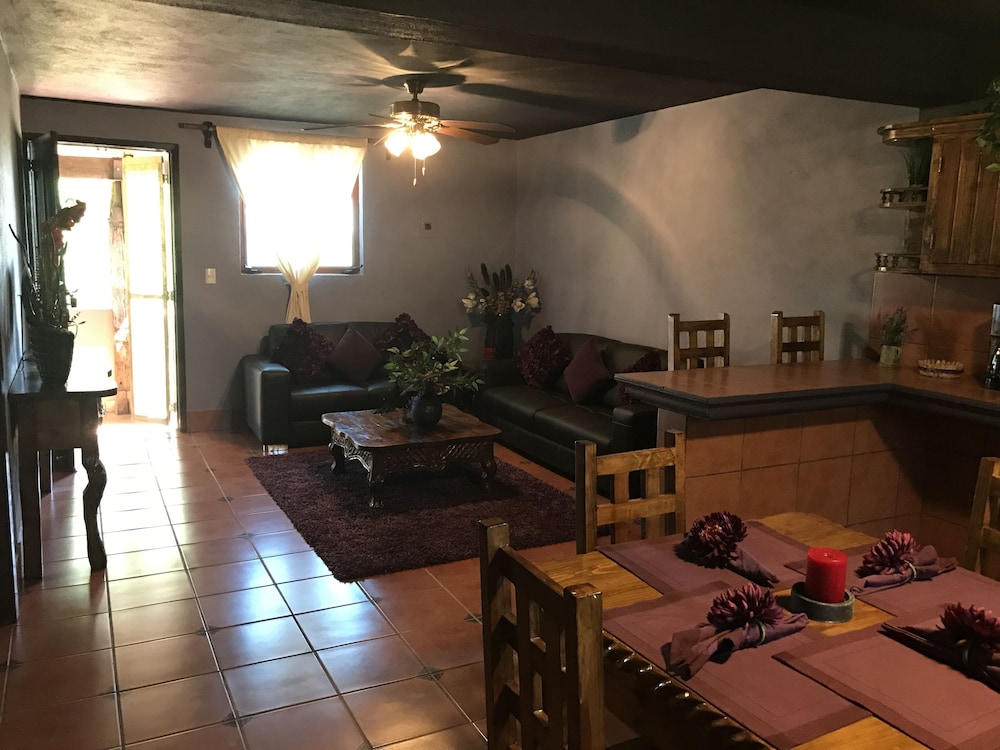 Premium Apartment, 2 Bedrooms, Kitchen, Courtyard Area photo 1