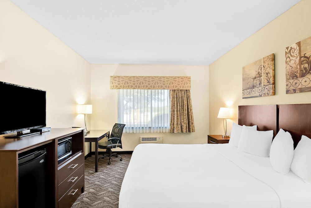 Suite, 1 King Bed, Non Smoking, Refrigerator & Microwave (with Sofabed) photo 2