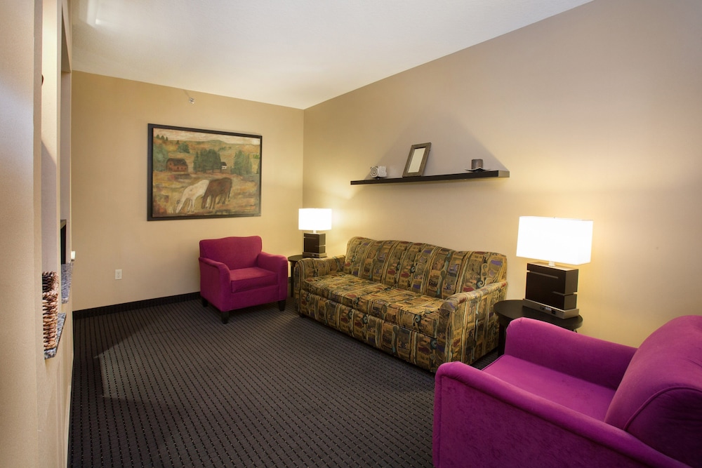 Suite, 1 King Bed (Living Area)