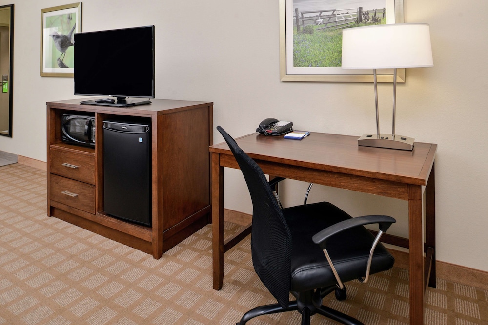 Room, 1 King Bed with Sofa bed, Refrigerator & Microwave