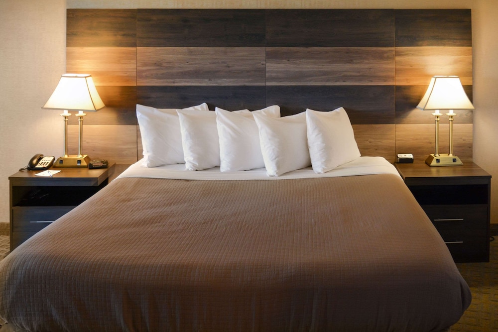 Standard Room, 1 Queen Bed, Accessible, Non Smoking (Accessible) - Photo 4