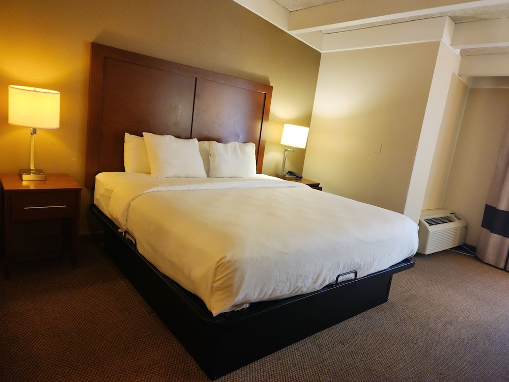Standard Room, 1 King Bed, Non Smoking - Photo 1