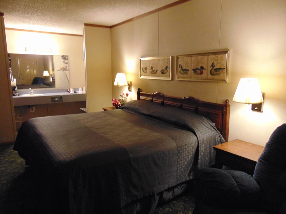 Room, 1 King Bed, Non Smoking photo 2