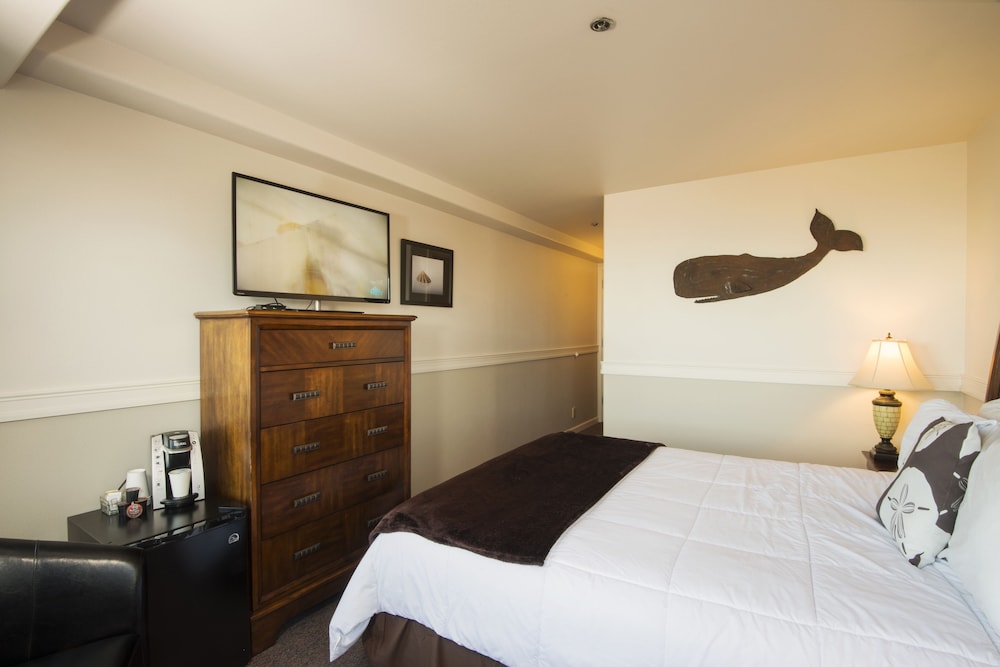 Oceanfront Room - Pet Friendly photo 2