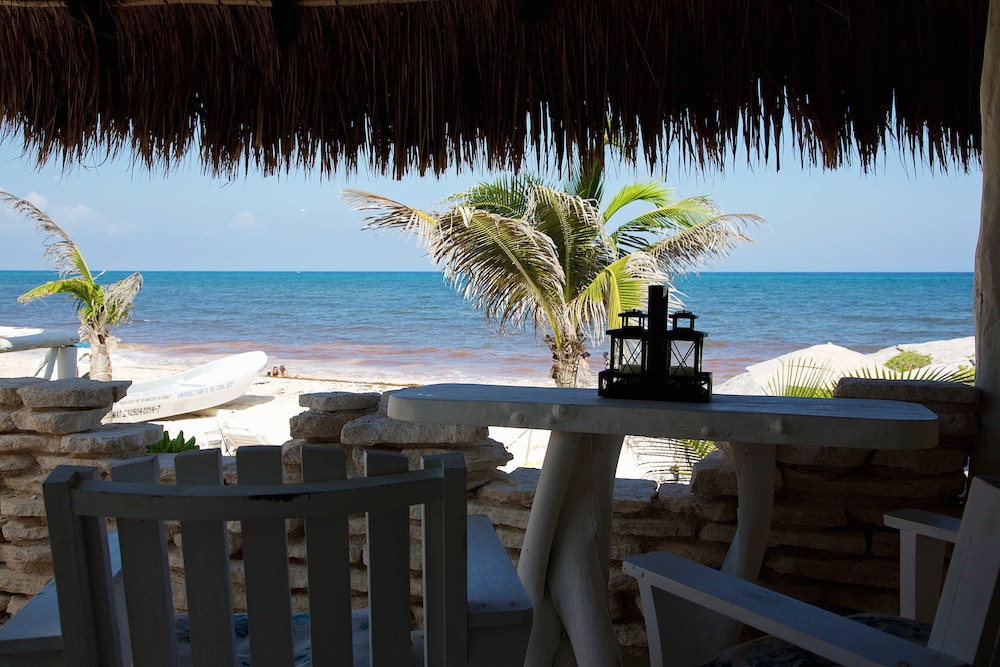 Royal Room, 1 King Bed, Oceanfront - Photo 14