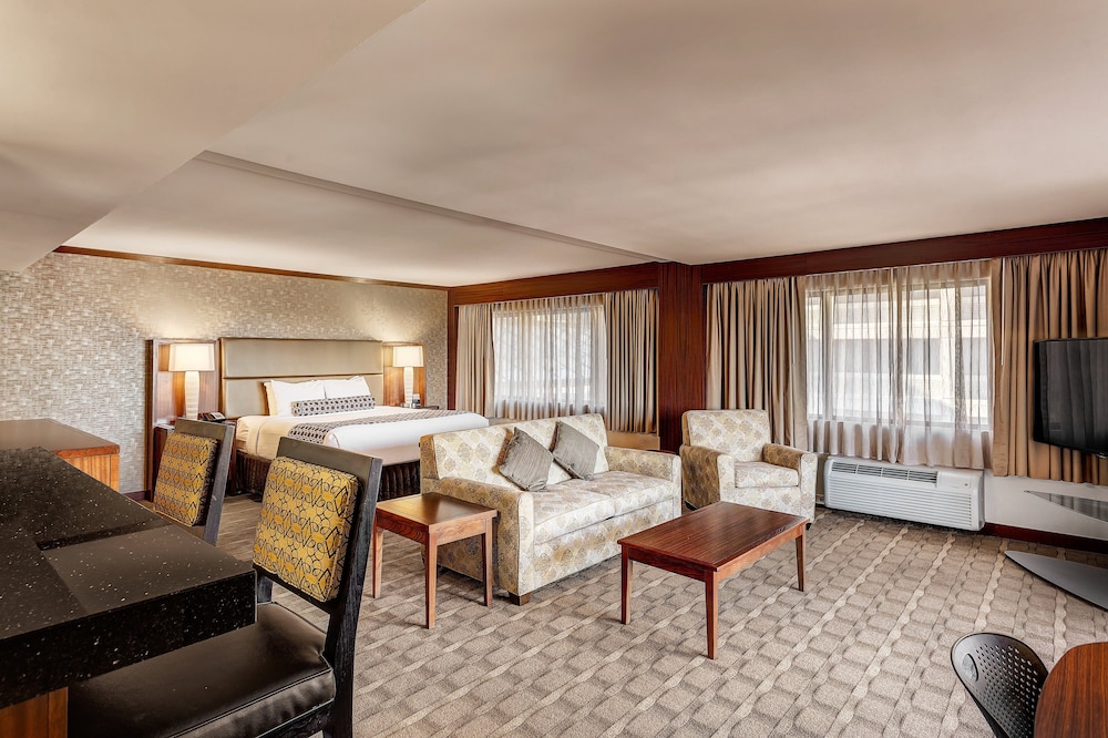 Suite, 1 Bedroom photo 2