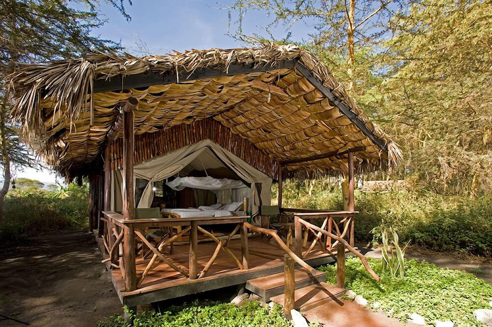 Tent, Garden View