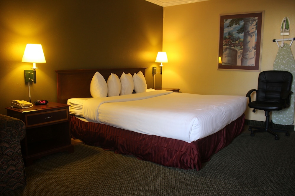 Weekly Room, 1 King bed with sofa bed photo 2
