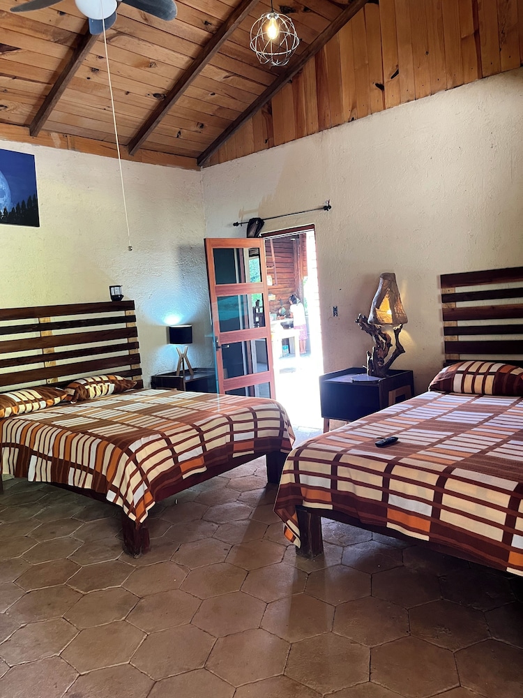 Basic Quadruple Room photo 1