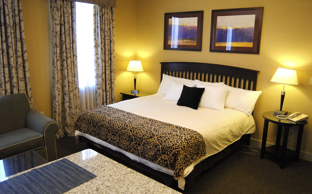 Deluxe Studio, 1 King Bed photo 2