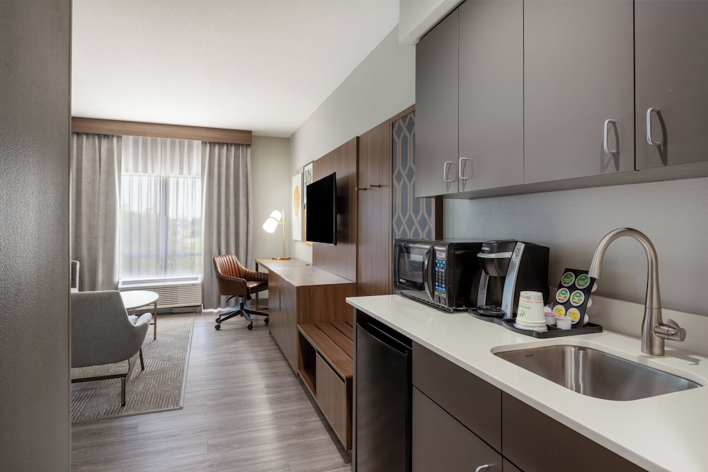 Suite, 1 King Bed, Accessible (Communications, Roll-In Shower) photo 1