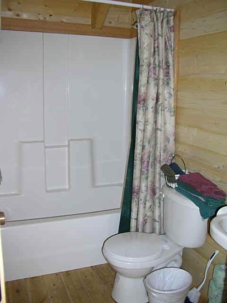 Deluxe Cabin, 2 Bedrooms, 2 Bathrooms, River View photo 3