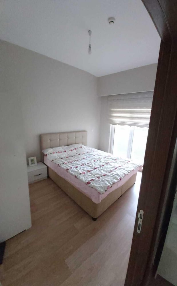 Apartment (One-Bedroom Suite Apartment) photo 2