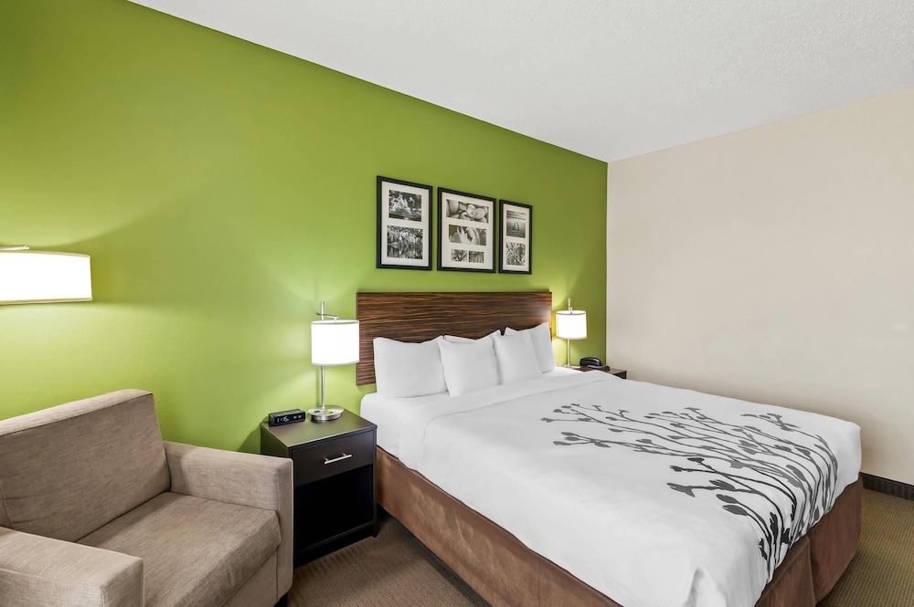 Standard Room, 1 King Bed, Non Smoking - Photo 5
