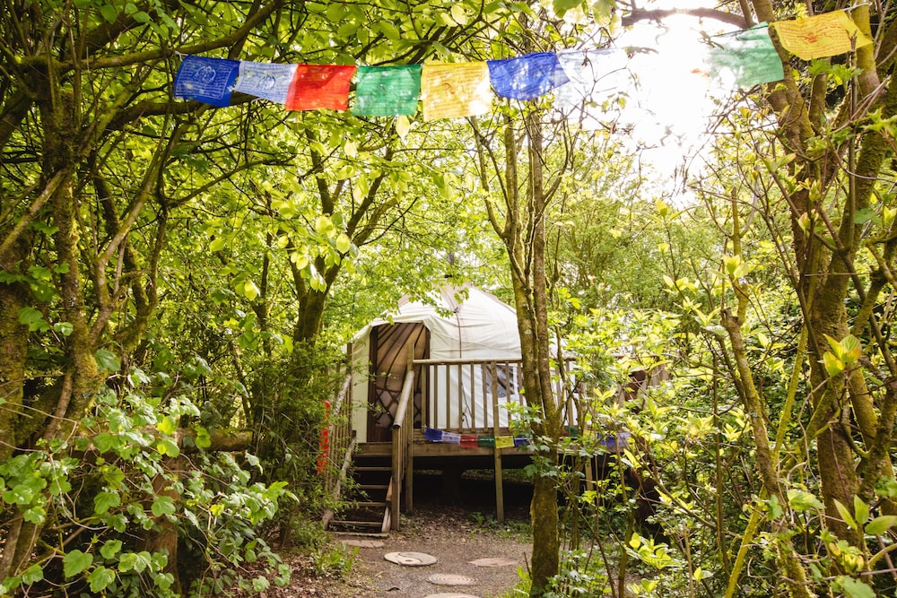 Bentwood Yurt