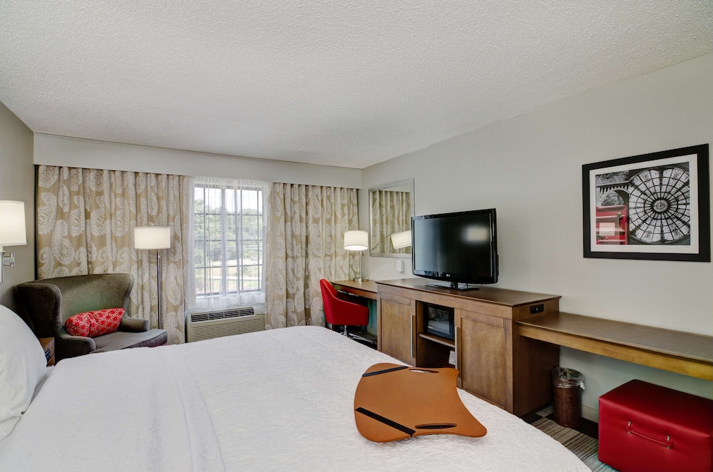 Room, 1 King Bed, Non Smoking, Refrigerator & Microwave photo 1