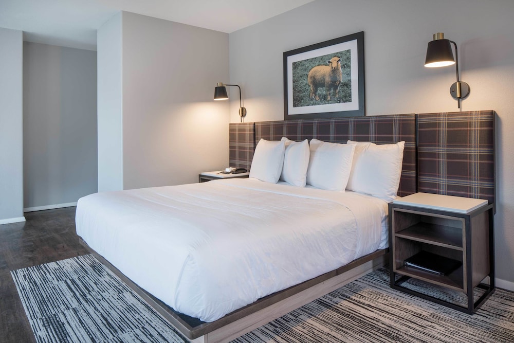 Standard Room, 1 King Bed (Ketchum King Room)