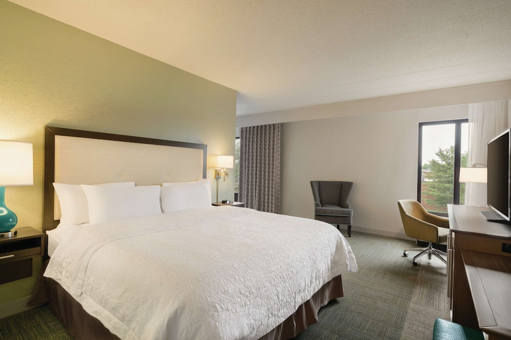 Suite, 1 King Bed, Non Smoking (Mini Suite) - Photo 4