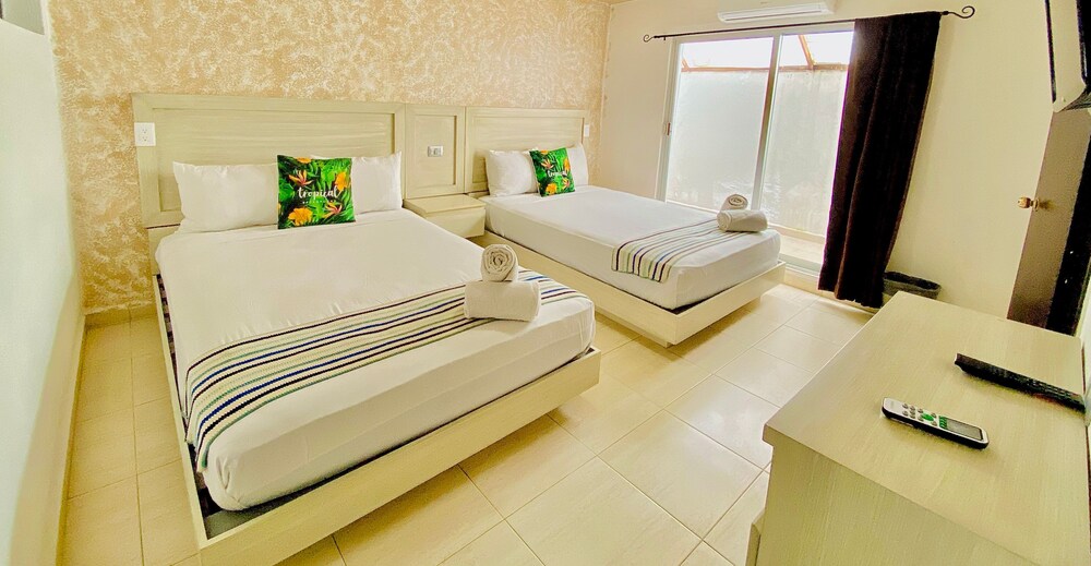 Standard Suite