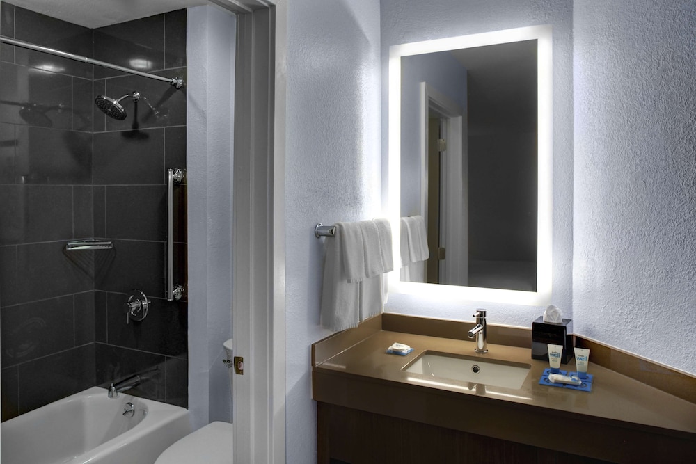Suite, 1 Bedroom, Accessible, Bathtub - Photo 5