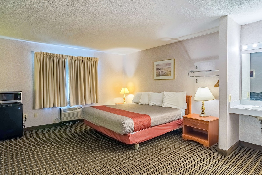 Deluxe Room, 1 Queen Bed, Non Smoking, Refrigerator & Microwave - Photo 4