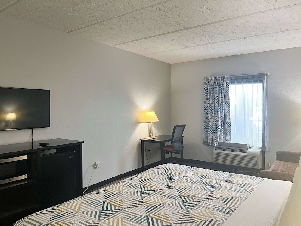 Deluxe Room, 1 King Bed, Smoking, Refrigerator & Microwave - Photo 1