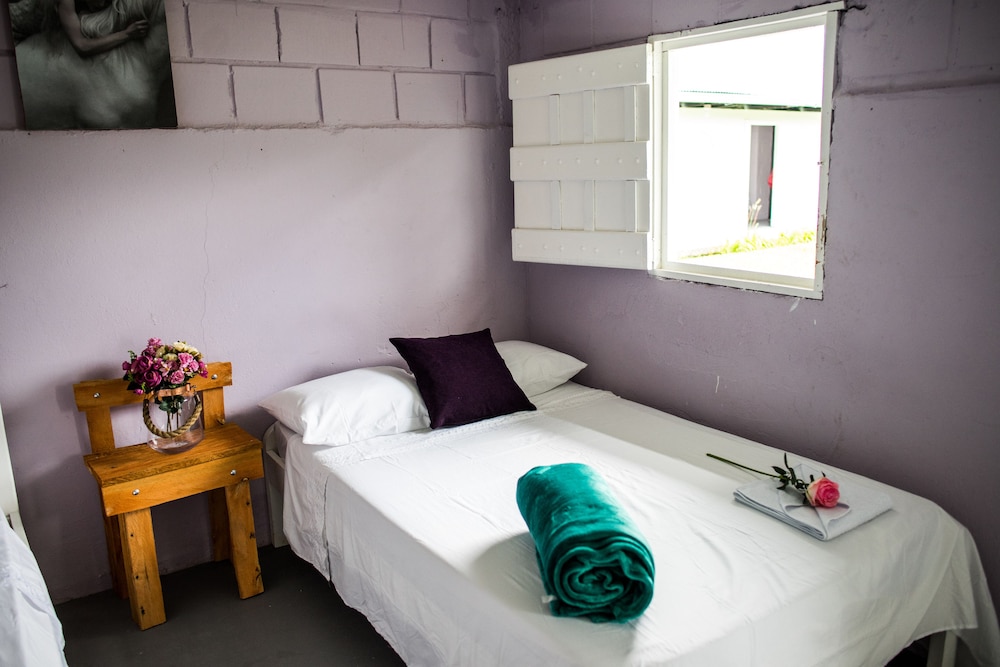 Basic Shared Dormitory, Mixed Dorm, Mountain View photo 3