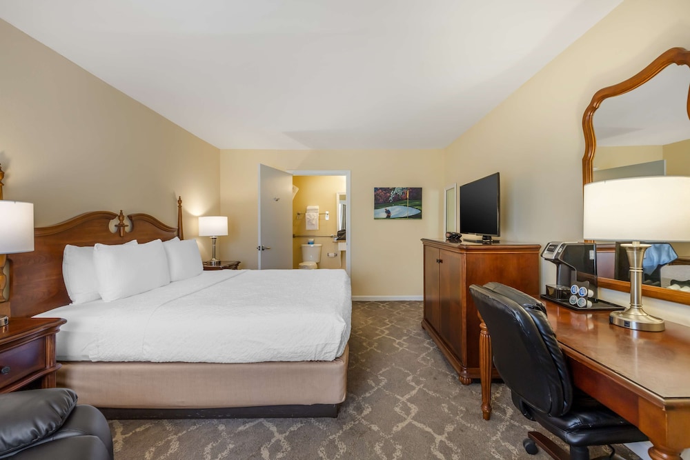 Standard Room, 1 King Bed, Smoking, Refrigerator & Microwave photo 1