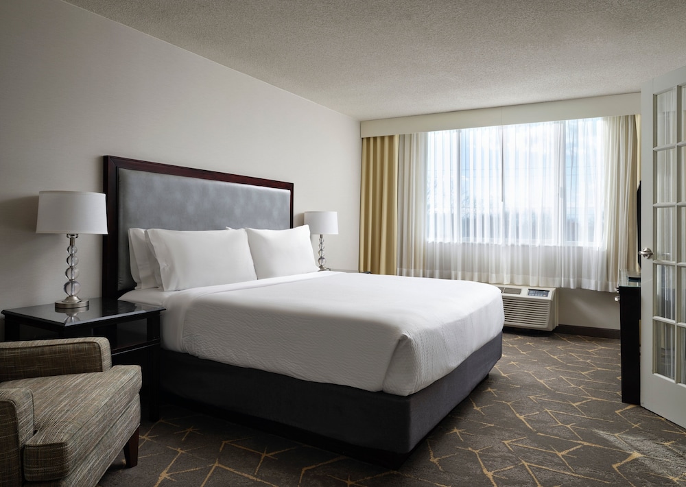 Suite, 1 Bedroom photo 1