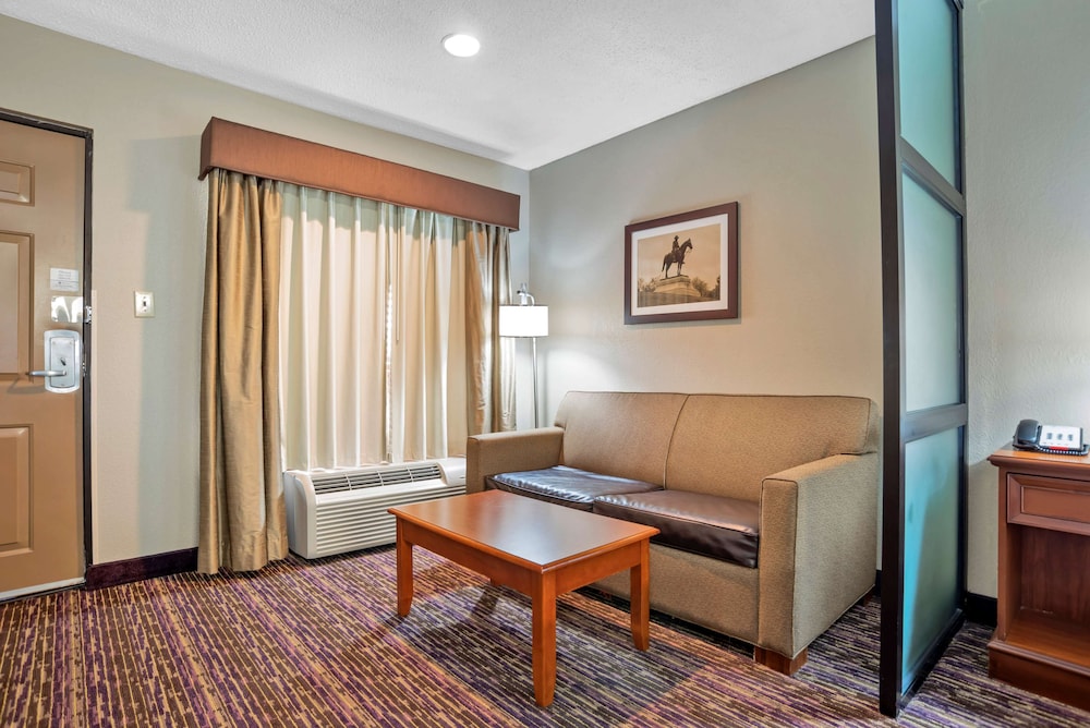 Standard Room, 1 King Bed, Non Smoking, Refrigerator & Microwave (Oversized Room;With Sofabed) photo 1