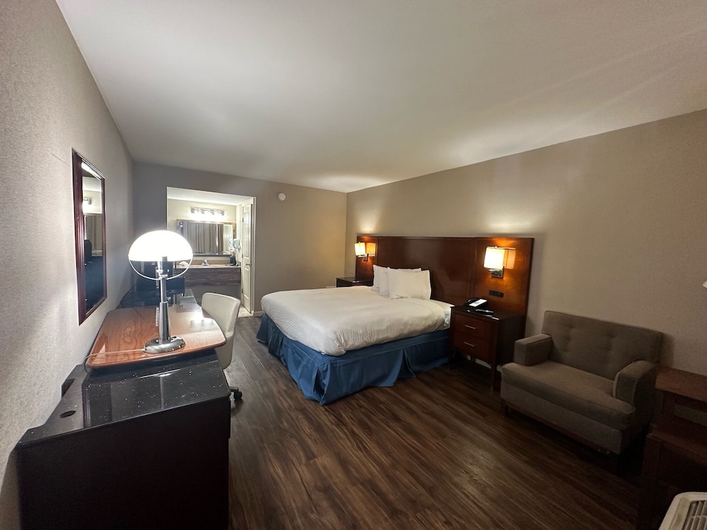 Basic Single Room photo 1
