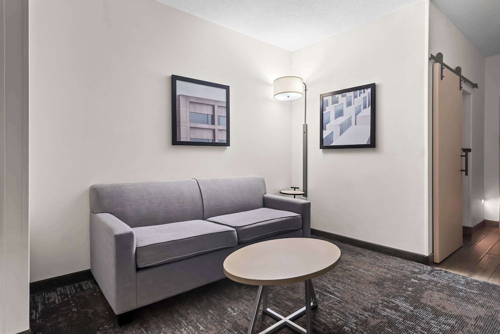 Suite, 1 King Bed, Non Smoking, Refrigerator & Microwave (With Sofabed) - Photo 1
