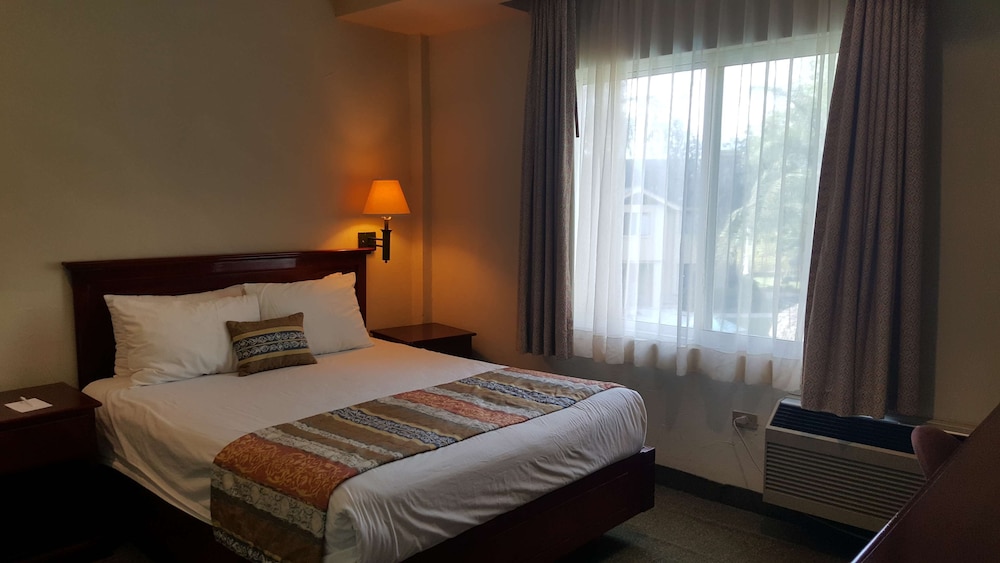 Suite, Multiple Beds, Non Smoking photo 3