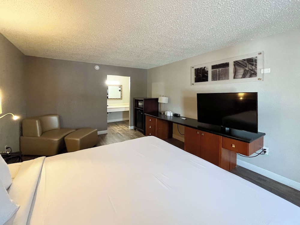 Standard Room, 1 King Bed, Accessible, Non Smoking photo 3